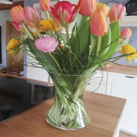 Neu Ferienwohnung An Der Landbackerei Appartement